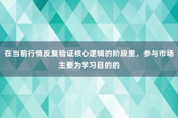 在当前行情反复验证核心逻辑的阶段里，参与市场主要为学习目的的