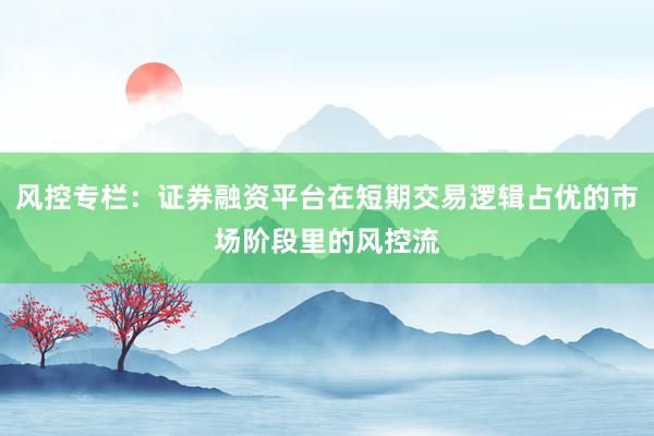 风控专栏：证券融资平台在短期交易逻辑占优的市场阶段里的风控流