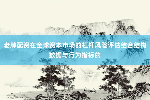 老牌配资在全球资本市场的杠杆风险评估结合结构数据与行为指标的